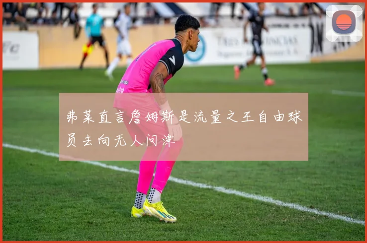 弗莱直言詹姆斯是流量之王自由球员去向无人问津