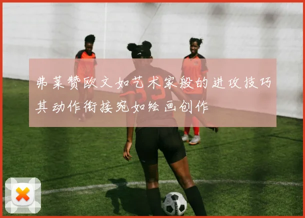 弗莱赞欧文如艺术家般的进攻技巧其动作衔接宛如绘画创作