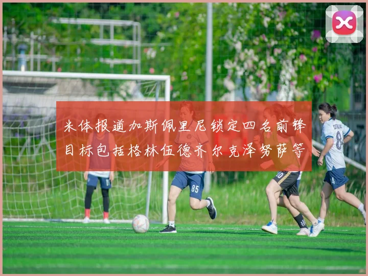 米体报道加斯佩里尼锁定四名前锋目标包括格林伍德齐尔克泽努萨等人